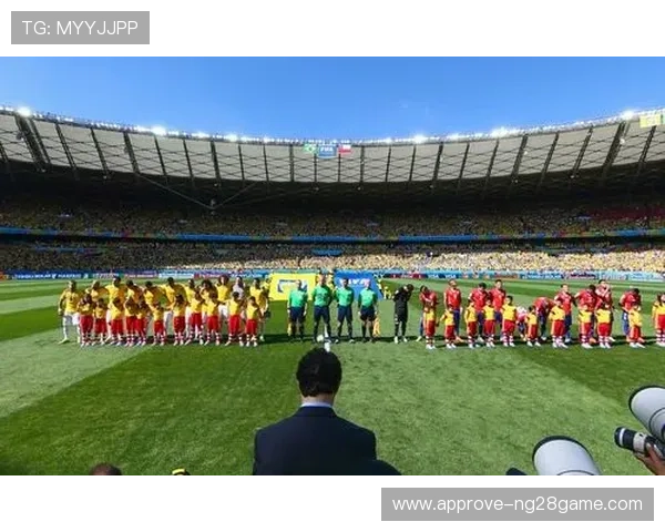 2014年巴西世界杯回顾：精彩瞬间与历史性时刻的全景展现